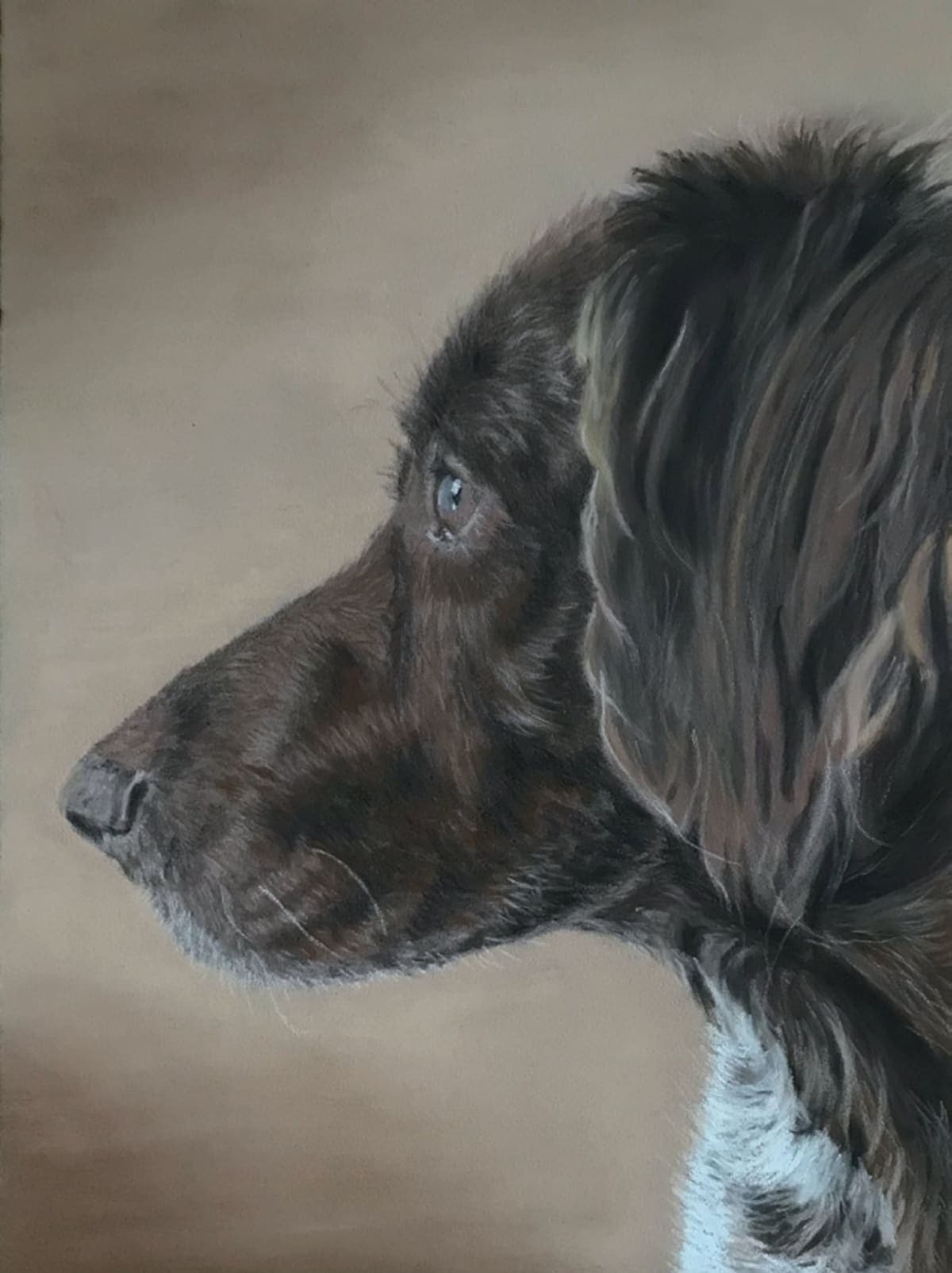 Pasteltekening van een huisdierportret