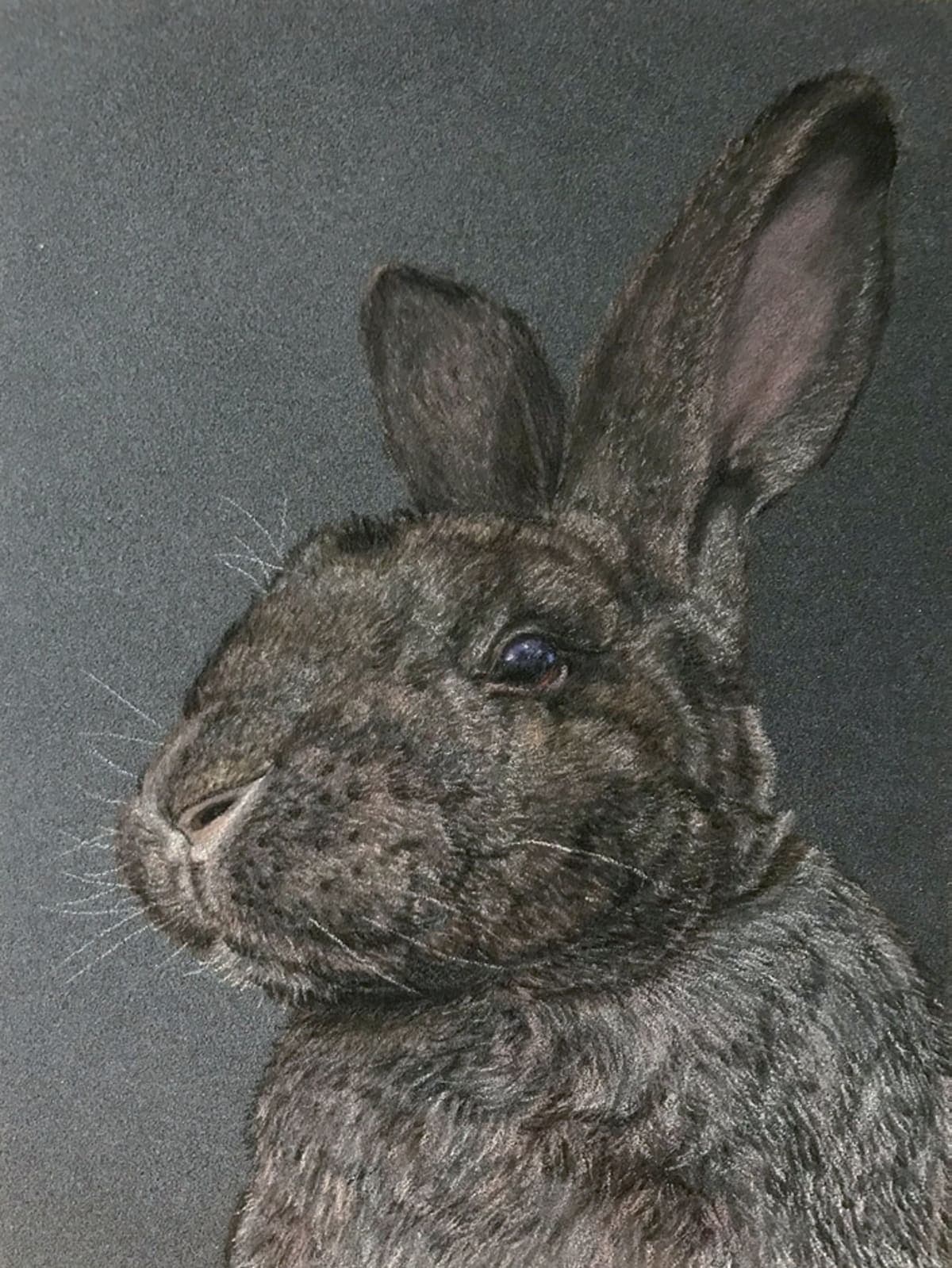 Pasteltekening van een dierenportret